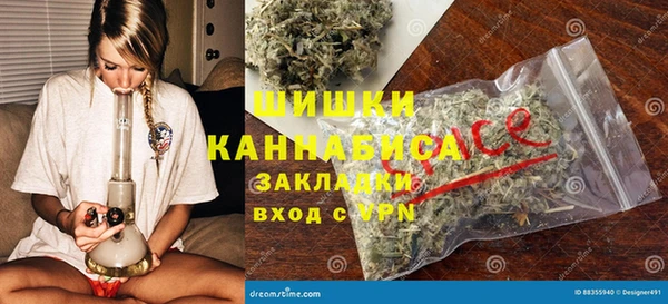 сатива Балахна